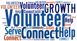 volunteers_word_web (1) volunteers_word_web (1)